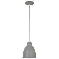 Подвесной светильник Arte Lamp Braccio A2054SP-1GY 