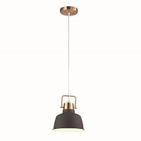 Подвесной светильник Odeon Light Pendant Sert 3325/1 