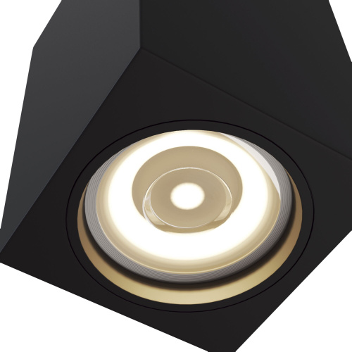 Потолочный светильник Maytoni Alfa C011CL-01B  фото 3