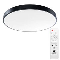 Потолочный светодиодный светильник Arte Lamp Arena A2673PL-1BK 