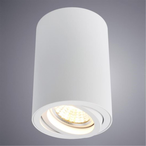 Потолочный светильник Arte Lamp A1560PL-1WH  фото 2