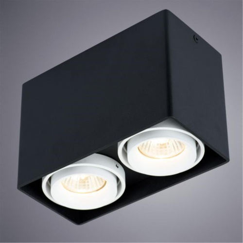 Потолочный светильник Arte Lamp A5655PL-2BK  фото 2