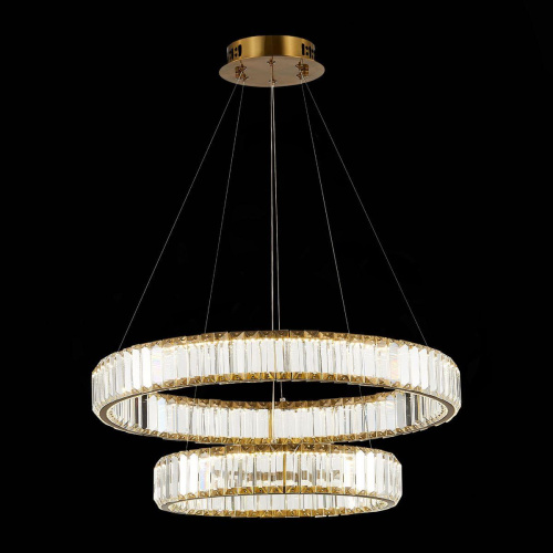 Подвесная светодиодная люстра ST Luce Tivoli SL1622.303.02  фото 4