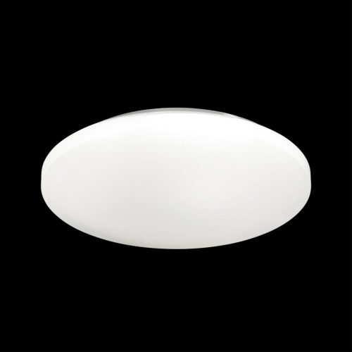 Настенно-потолочный светильник Sonex Pale Simple 3017/EL  фото 2