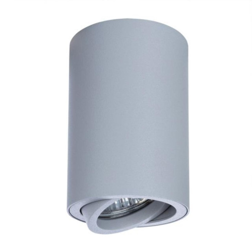 Потолочный светильник Arte Lamp A1560PL-1GY  фото 3