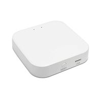 WI-FI конвертер ST Luce Skyline 220 ST015.500.97 