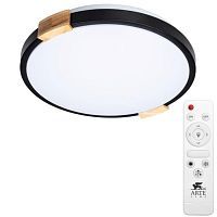 Потолочный светодиодный светильник Arte Lamp Jersey A2683PL-72BK 