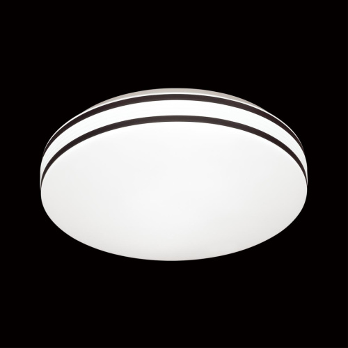 Настенно-потолочный светодиодный светильник Sonex Pale Lobio 3055/AL  фото 2