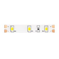 Светодиодная лента Maytoni Technical 4,8W/m 60LED/m 2835SMD холодный белый 5M 10104 