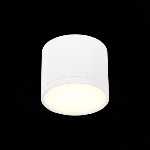 Потолочный светодиодный светильник ST Luce Rene ST113.532.09  фото 2