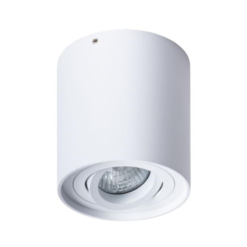 Потолочный светильник Arte Lamp Falcon A5645PL-1WH 