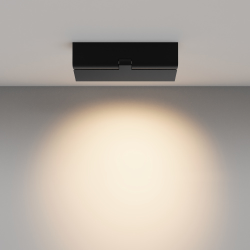 Потолочный светильник Technical C136CL-12W3K-B  фото 4