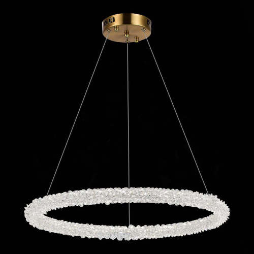 Подвесной светодиодный светильник ST Luce Avana SL6110.213.01  фото 6