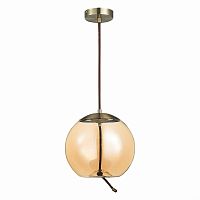 Подвесной светодиодный светильник ST Luce Ozzio SL6108.313.01 