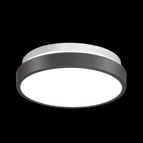 Настенно-потолочный светильник Sonex Mini Smalli 3012/AL  фото 2