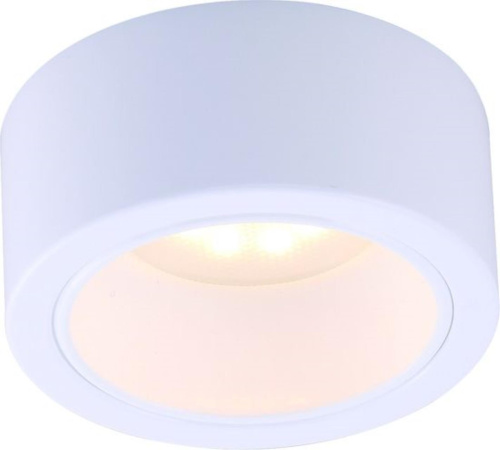 Потолочный светильник Arte Lamp Effetto A5553PL-1WH 