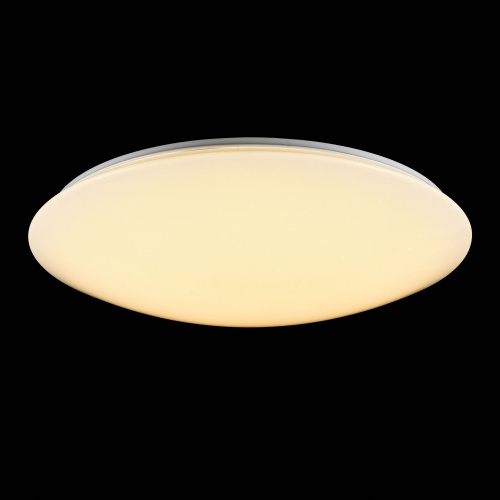 Потолочный светильник Freya FR6999-CL-30-W  фото 4