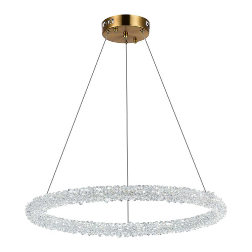 Подвесной светодиодный светильник ST Luce Avana SL6110.213.01  фото 3