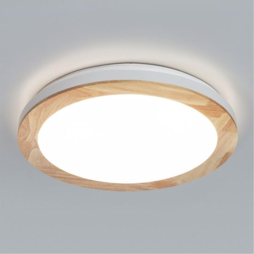 Потолочный светодиодный светильник Arte Lamp Luce A2685PL-72WH  фото 2