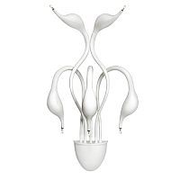 Бра Lightstar Cigno Collo Wt 751656 