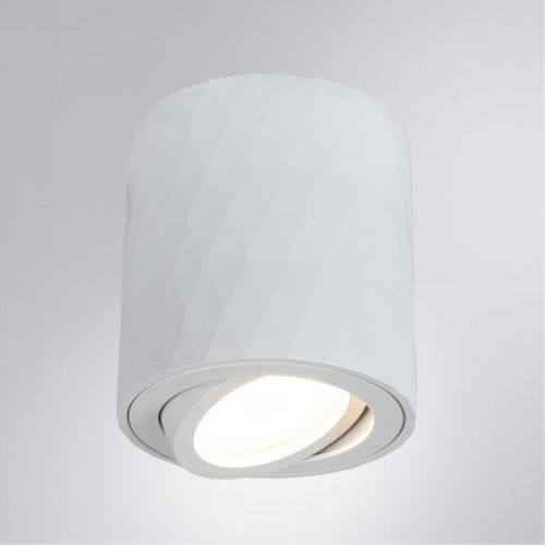 Потолочный светильник Arte Lamp Fang A5559PL-1WH  фото 2