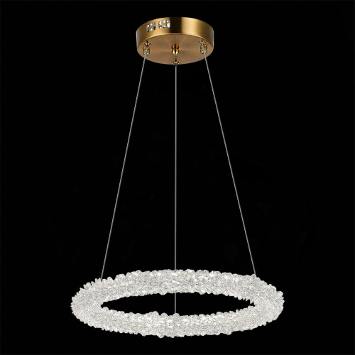 Подвесной светодиодный светильник ST Luce Avana SL6110.203.01  фото 6