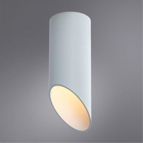 Потолочный светильник Arte Lamp Pilon A1615PL-1WH  фото 2