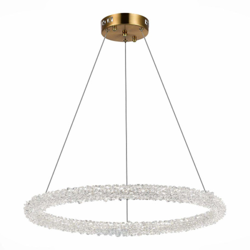 Подвесной светодиодный светильник ST Luce Avana SL6110.213.01 