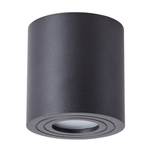 Потолочный светильник Arte Lamp Galopin A1460PL-1BK 