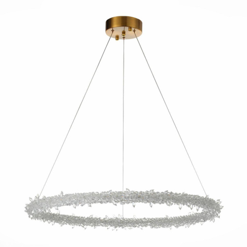 Подвесной светодиодный светильник ST Luce Lucchero SL6105.213.01 