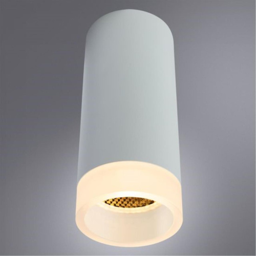Потолочный светильник Arte Lamp Ogma A5556PL-1WH  фото 2