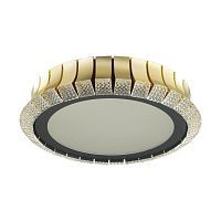 Потолочный светодиодный светильник Odeon Light Asturo 4994/75L 