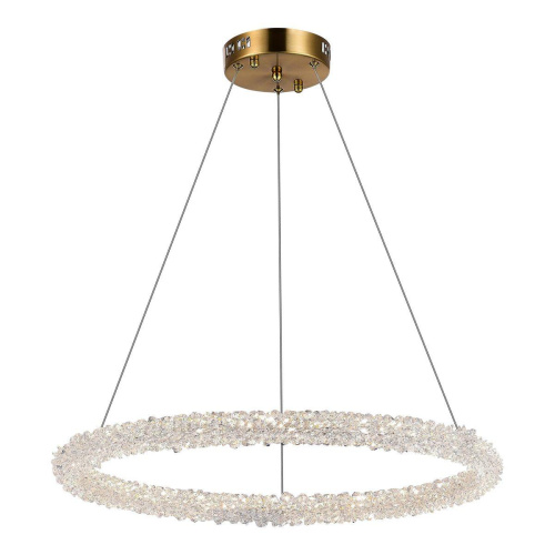 Подвесной светодиодный светильник ST Luce Avana SL6110.213.01  фото 5