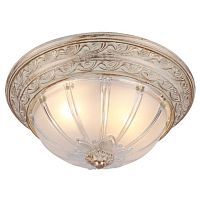 Потолочный светильник Arte Lamp Piatti A8014PL-2WA 